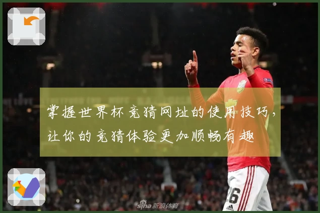 掌握世界杯竞猜网址的使用技巧，让你的竞猜体验更加顺畅有趣