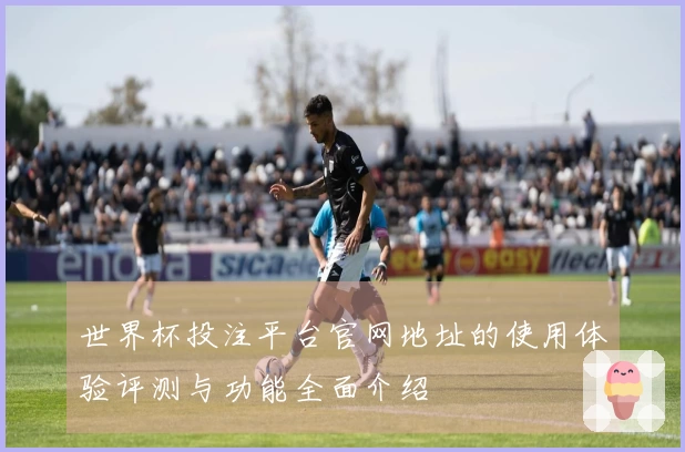 世界杯投注平台官网地址的使用体验评测与功能全面介绍