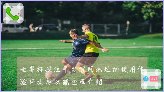 世界杯投注平台官网地址的使用体验评测与功能全面介绍
