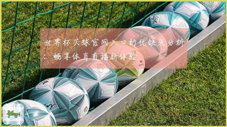 世界杯买球官网入口的优缺点分析：畅享体育直播新体验